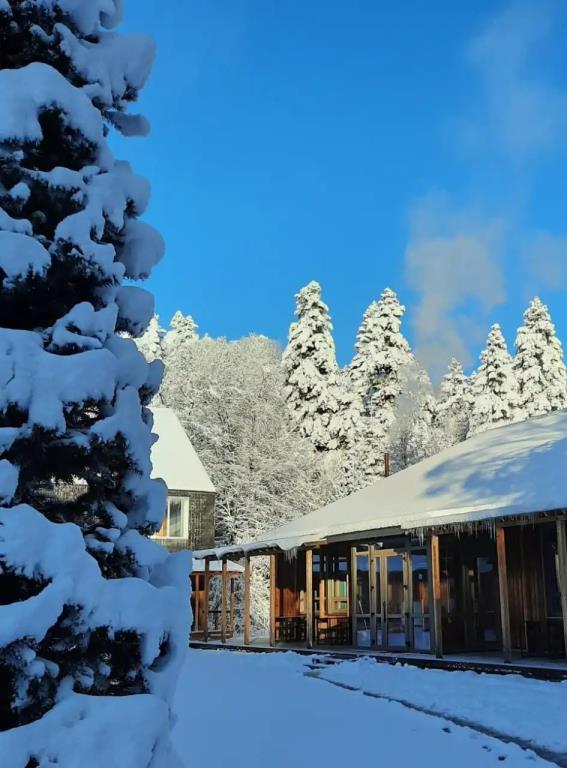 Pihtovyij Bor Park-hotel 0*