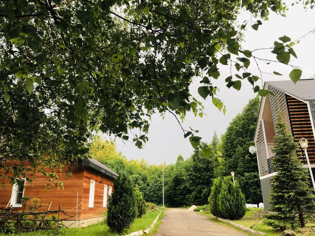 Pihtovyij Bor Park-hotel 0*