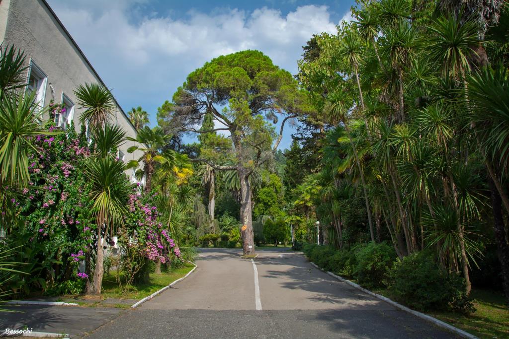Dendropark Mini-Hotel 3*