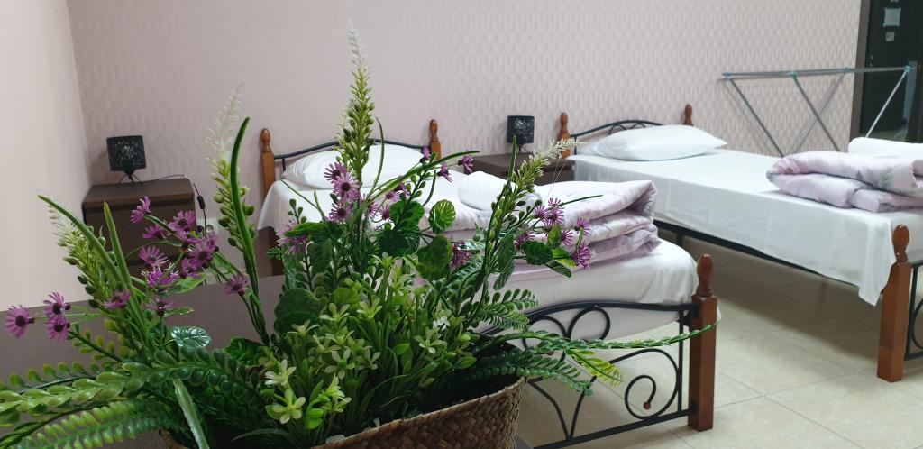 Slon Mini Hotel 2*