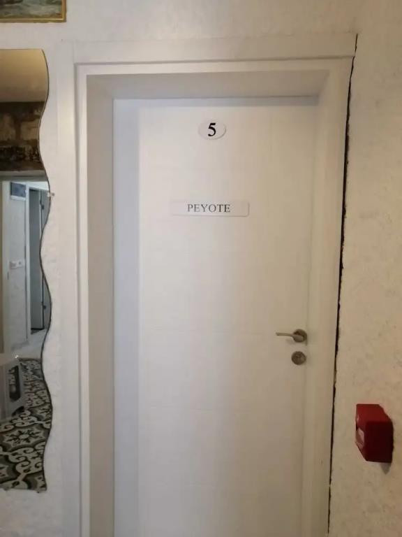 Kaktushan Otel 0*