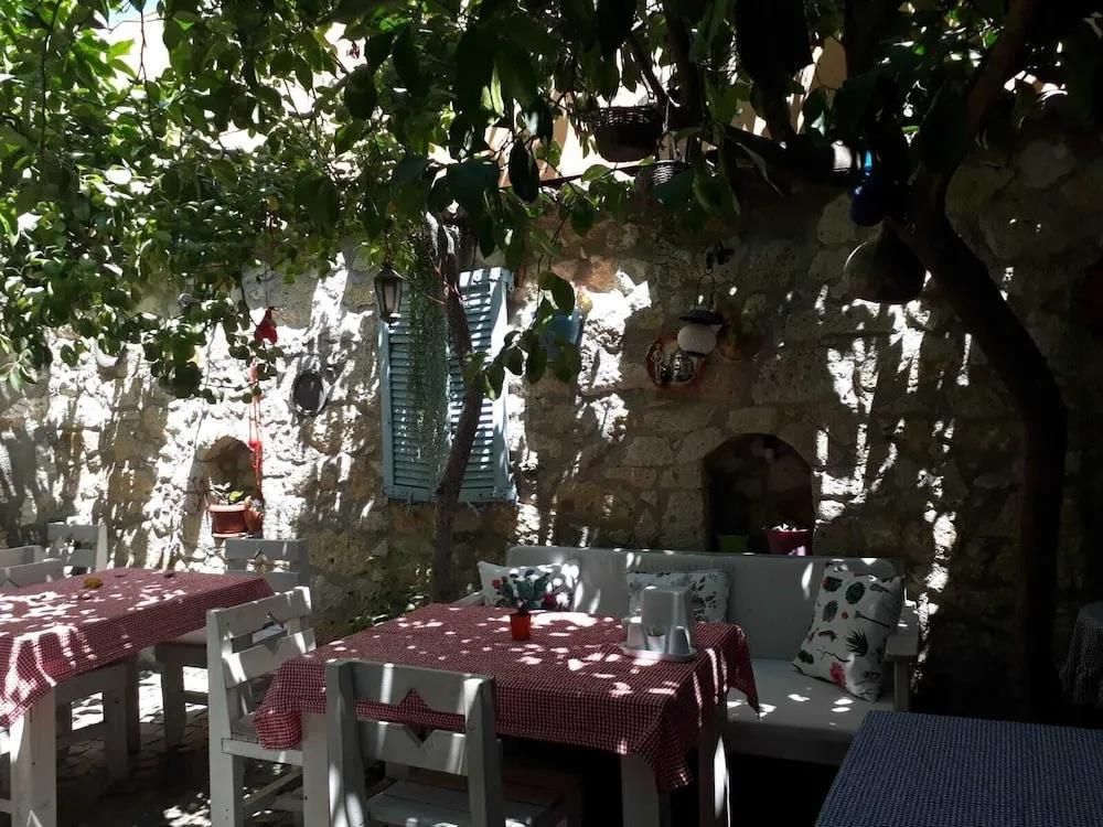 Kaktushan Otel 0*