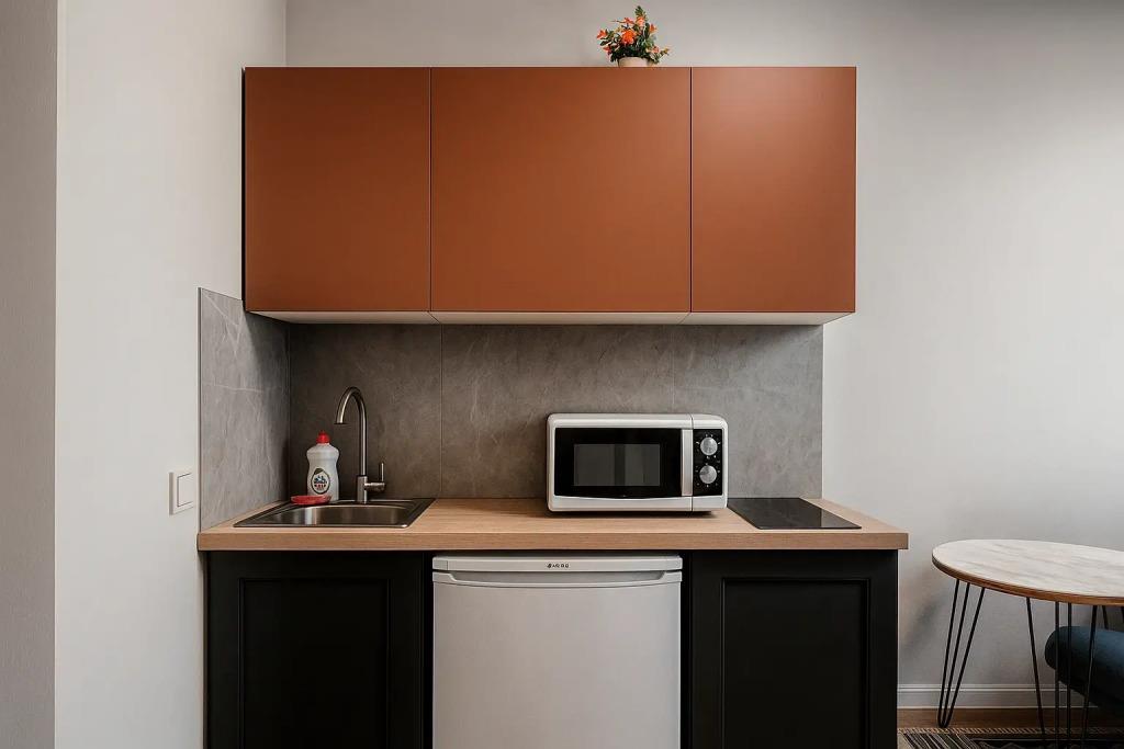Apartment Metro Plus 0*