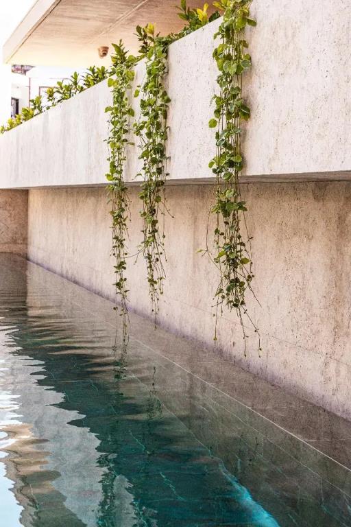 M Boutique Hotel - Designed for Adults 5*
