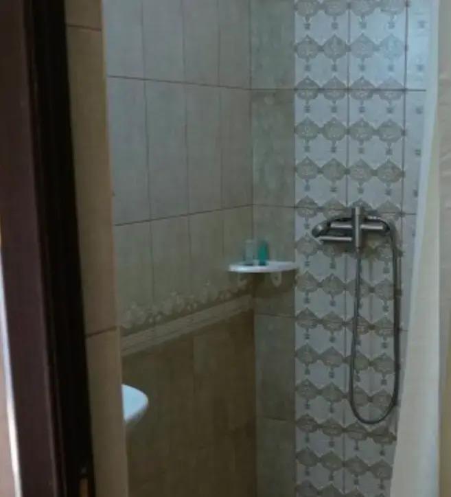 Elizaveta Hotel 3*