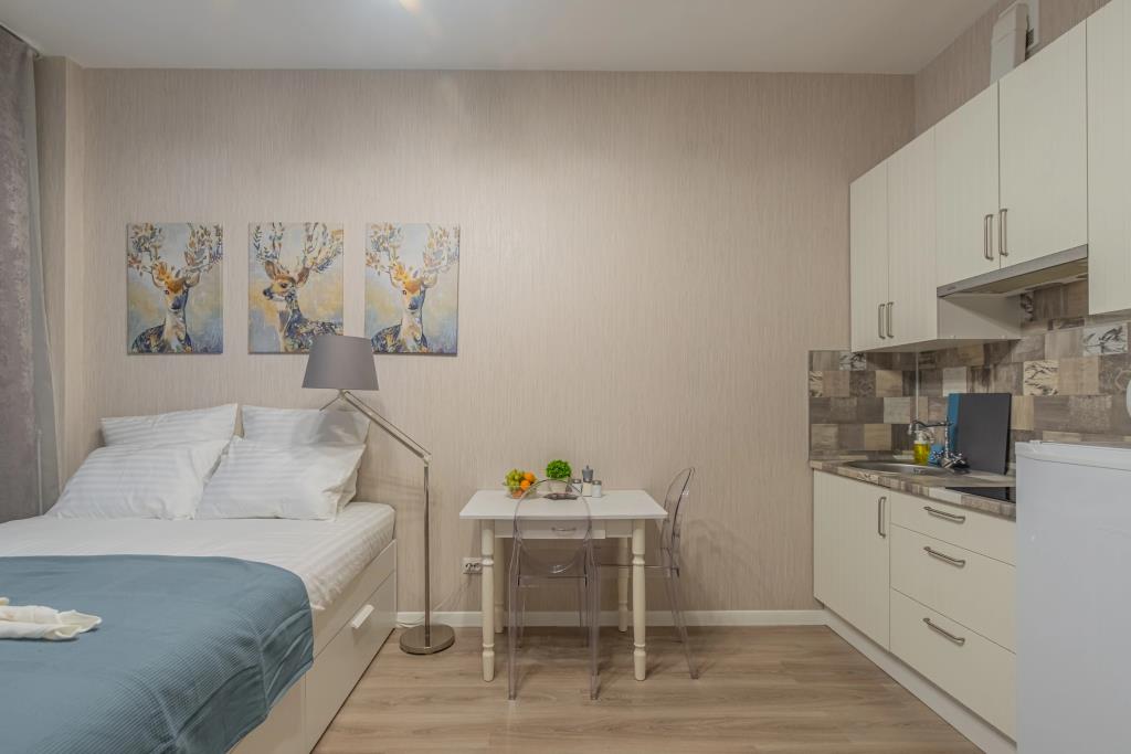 Apartment SalutApart 14 0*