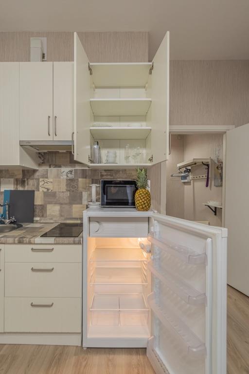 Apartment SalutApart 14 0*
