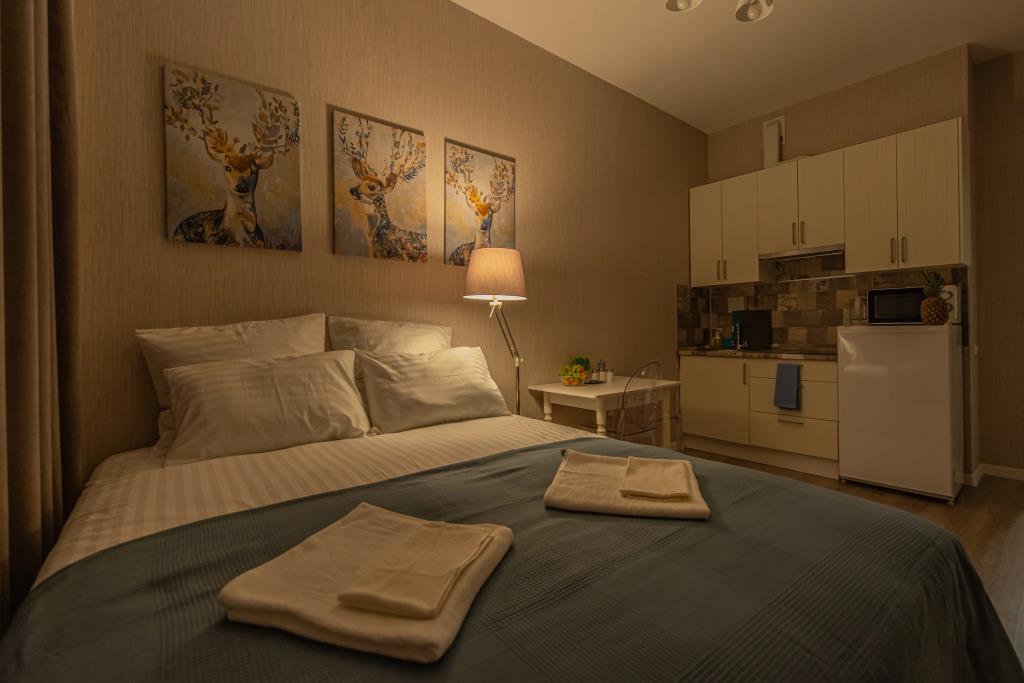 Apartment SalutApart 14 0*