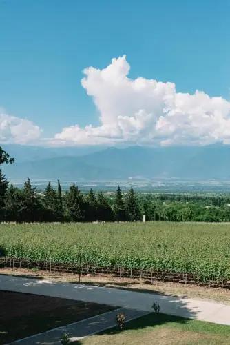 Vazisubani Estate 5*