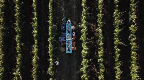 Vazisubani Estate 5*