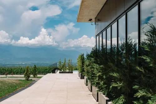 Vazisubani Estate 5*