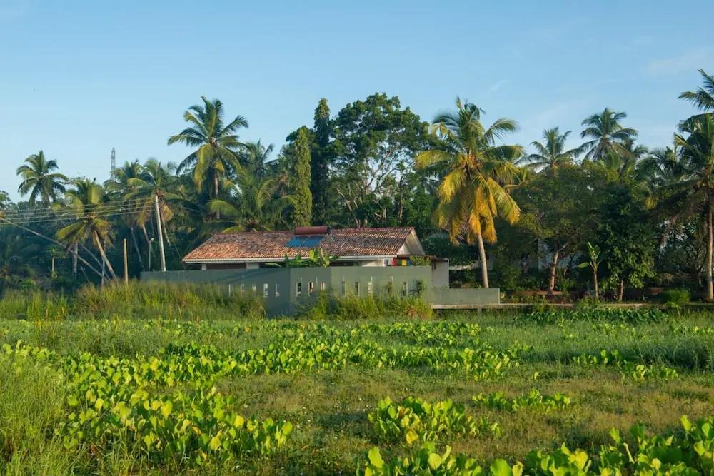 Romantic Honeymoon Villa Overlooking Rice Fields 0*