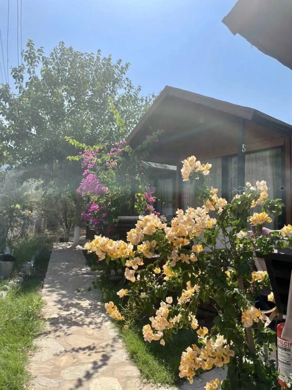 Marimare Beach & Bungalow Bungalow 0*
