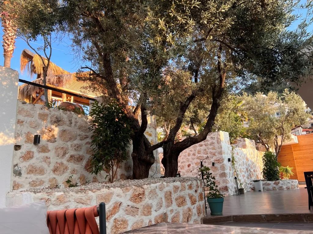 Kalkan Beach Park Hotel 0*