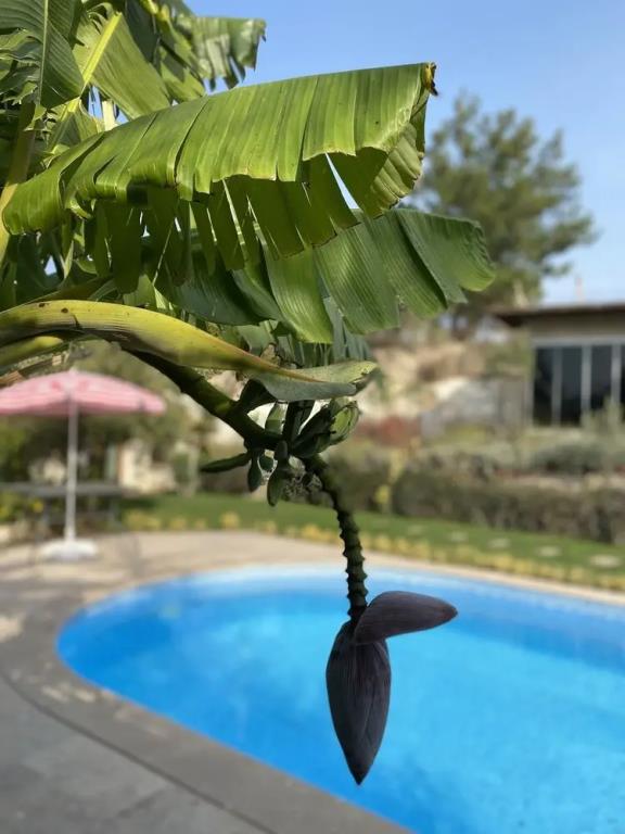 Guney Urla Suites 0*