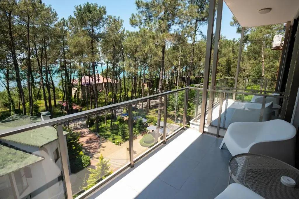 Buxus Hotel Shekvetili 3*