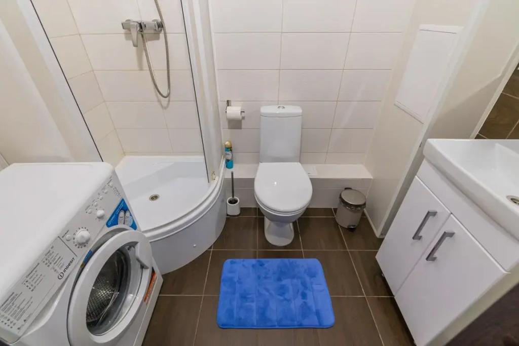 Apartment SalutApart 17 0*