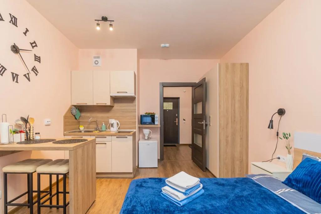 Apartment SalutApart 17 0*