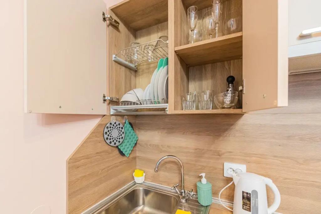 Apartment SalutApart 17 0*