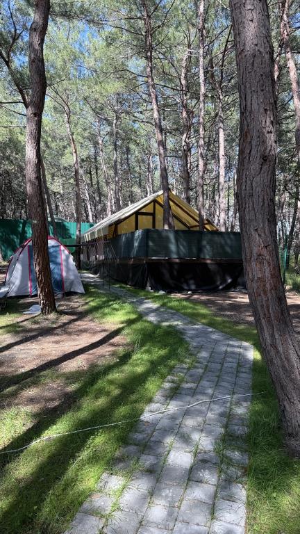 Pod Sosnami Camping 0*