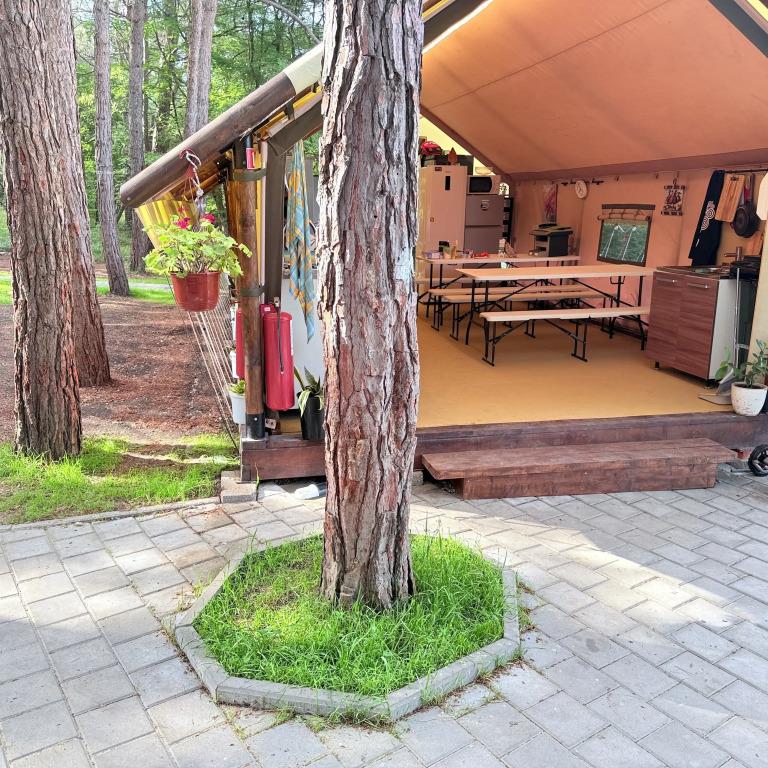 Pod Sosnami Camping 0*