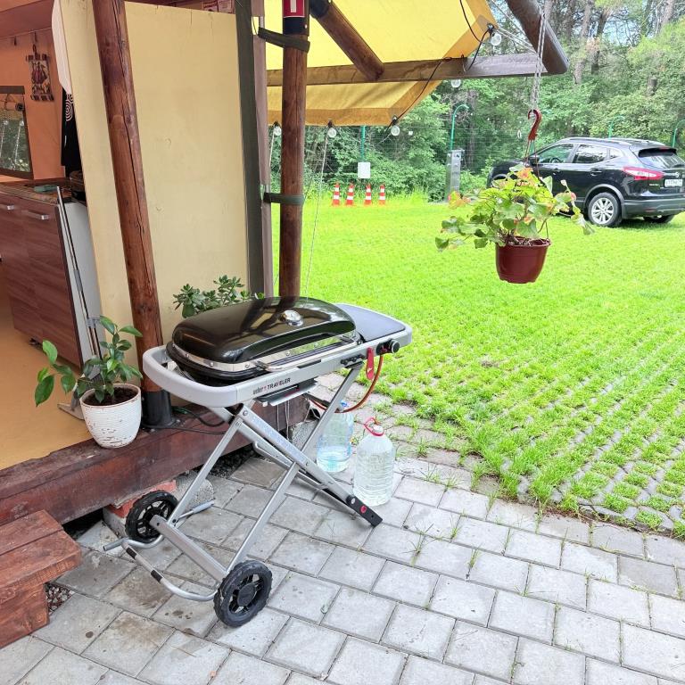 Pod Sosnami Camping 0*