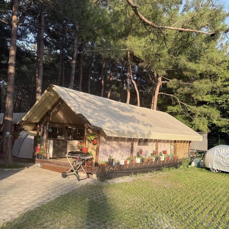 Pod Sosnami Camping 0*