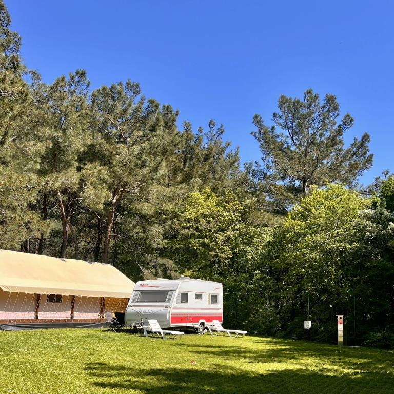 Pod Sosnami Camping 0*