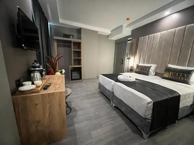 Istanbul City Airport Hotel 3*