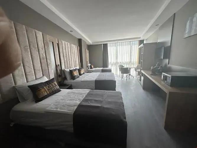 Istanbul City Airport Hotel 3*
