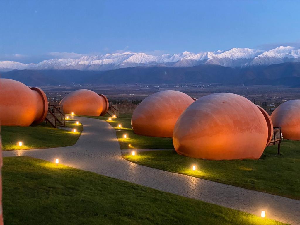Hotel Qvevrebi 4*