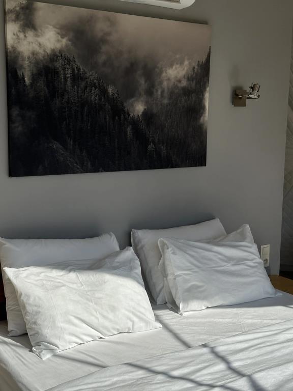 Cloud Park Altay Glamping 0*