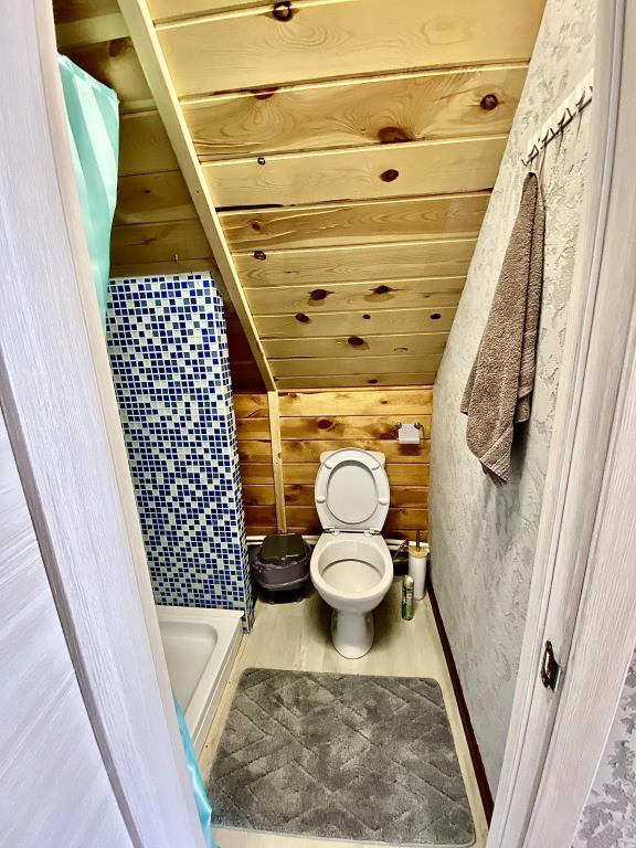 Apartamenty Izbushki 0*