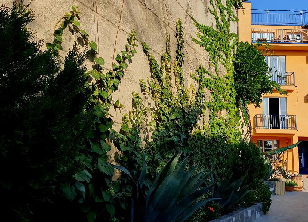 BaniHills Tbilisi Hotel 0*