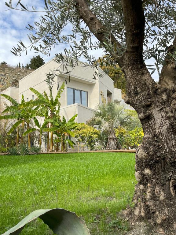 Little Palm Hotel 4*