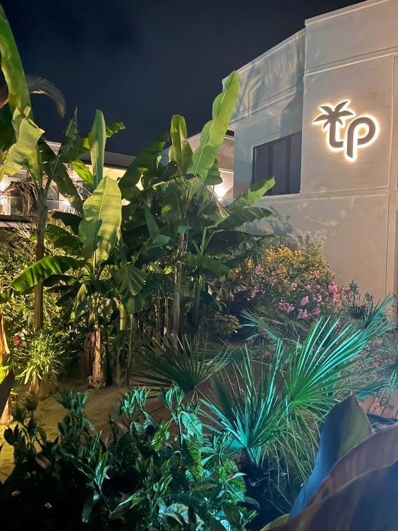 Little Palm Hotel 4*