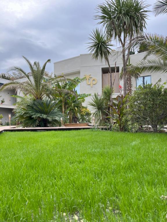Little Palm Hotel 4*