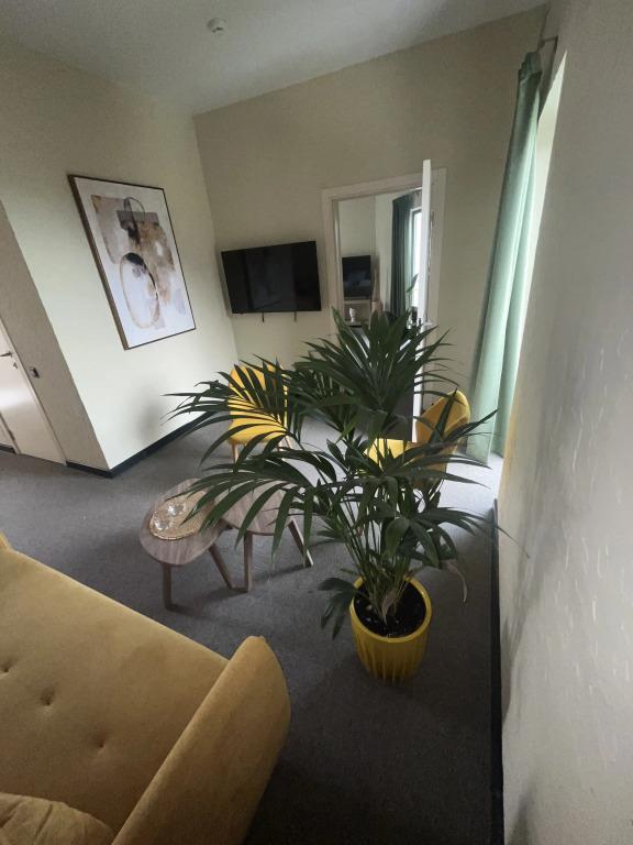 Little Palm Hotel 4*