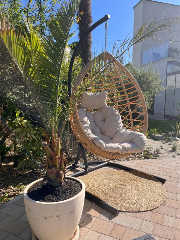 Little Palm Hotel 4*