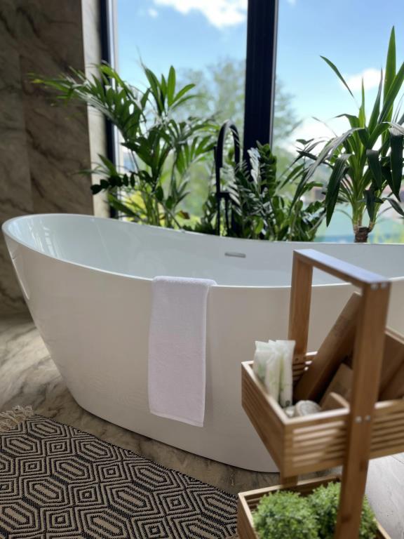 Little Palm Hotel 4*