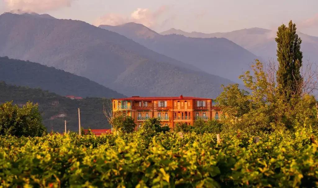 Burki Castle & Cellar Hotel 4*