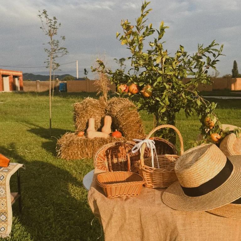 Burki Castle & Cellar Hotel 4*