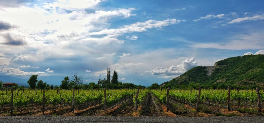 Burki Castle & Cellar Hotel 4*