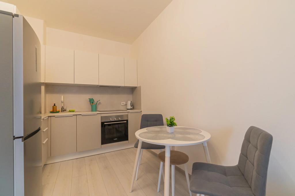 Apartments SalutApart 17W 0*