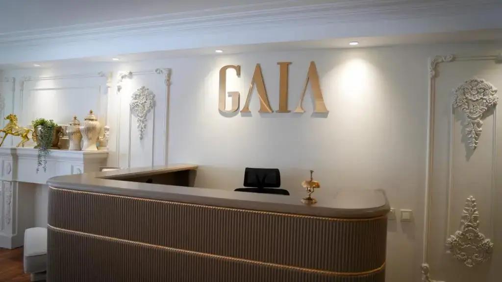 Gaia Suites Istanbul 0*