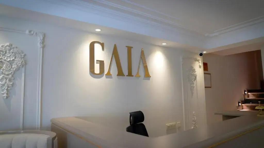 Gaia Suites Istanbul 0*