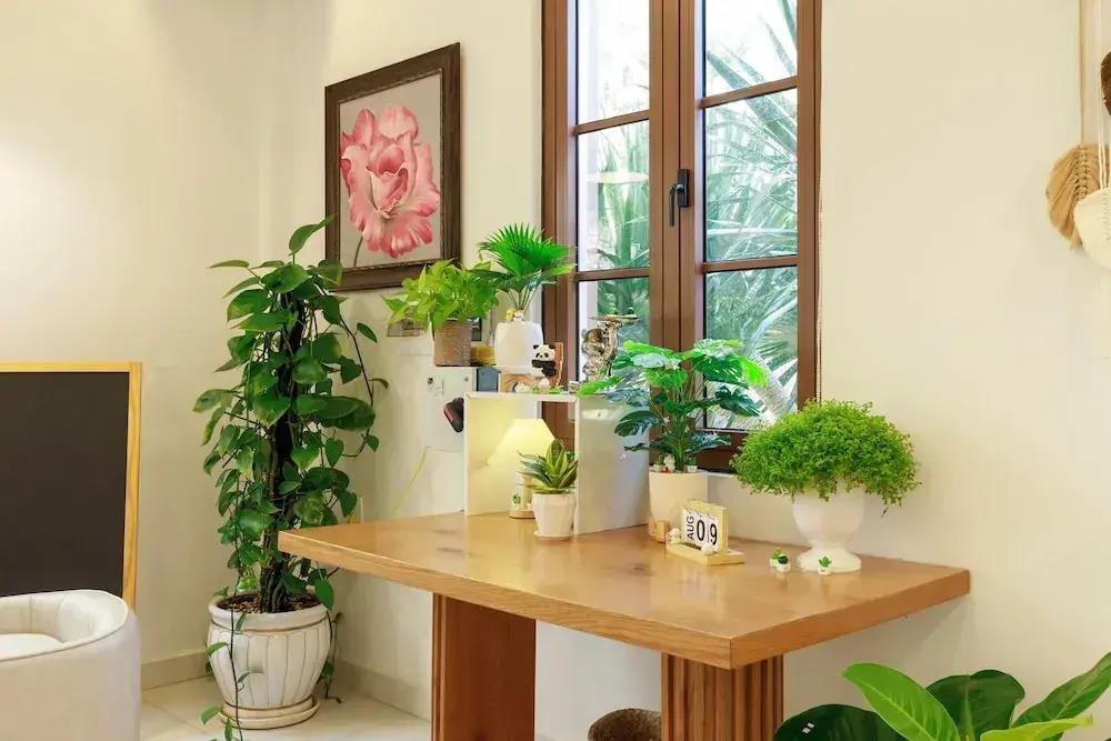 Lotus Home Corner & Rooftop 3*