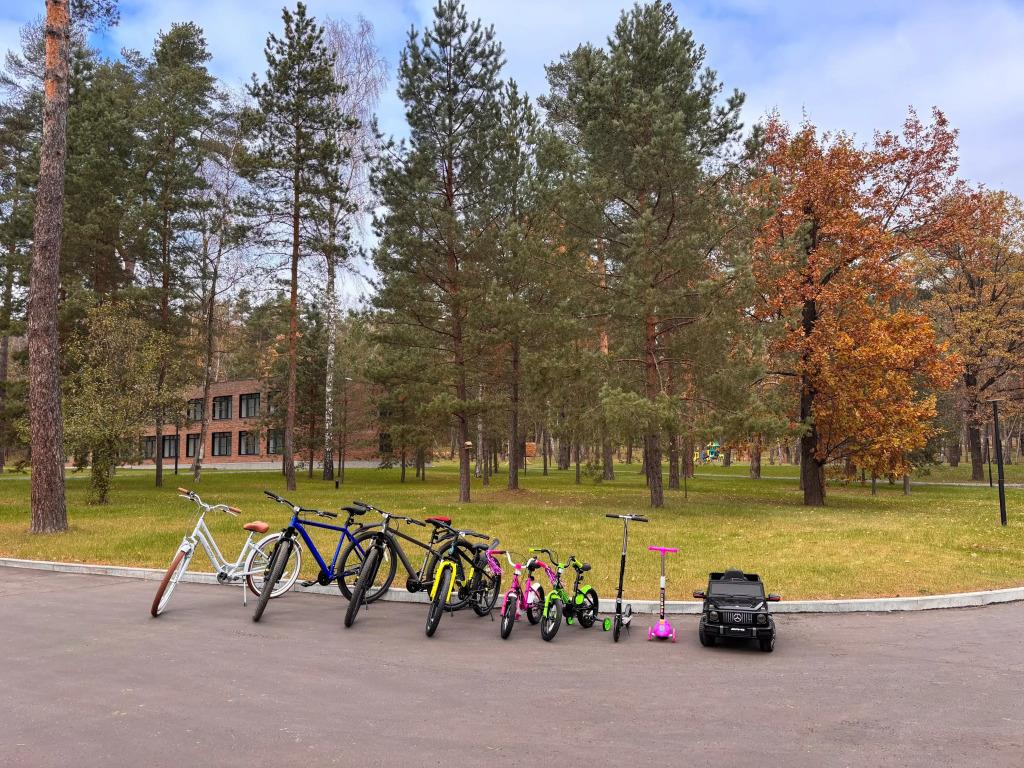 Lesnaya Lastochka Hotel 4*