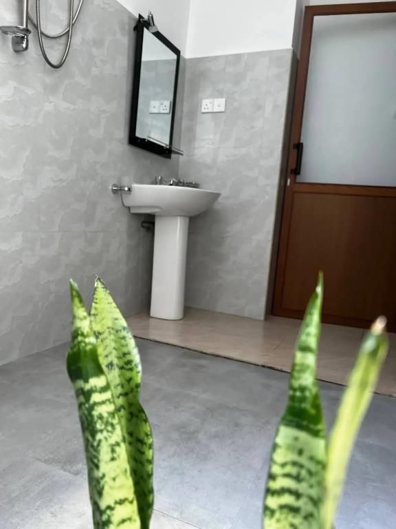 Urban Galle Villa 0*