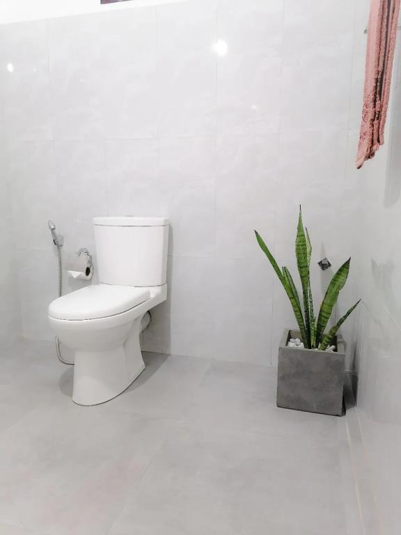 Urban Galle Villa 0*